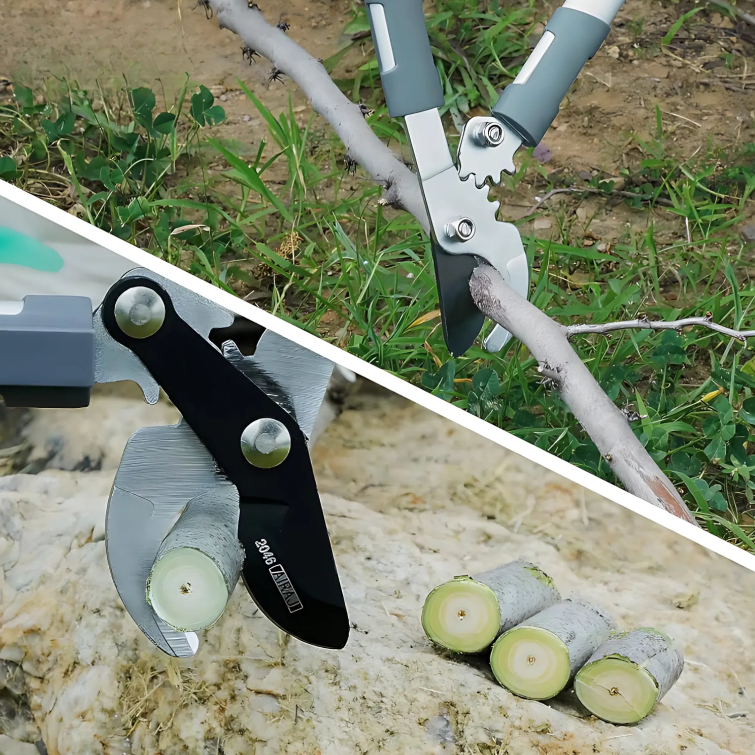 Tree trimming shears