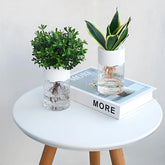 minimalist glass look plant pot