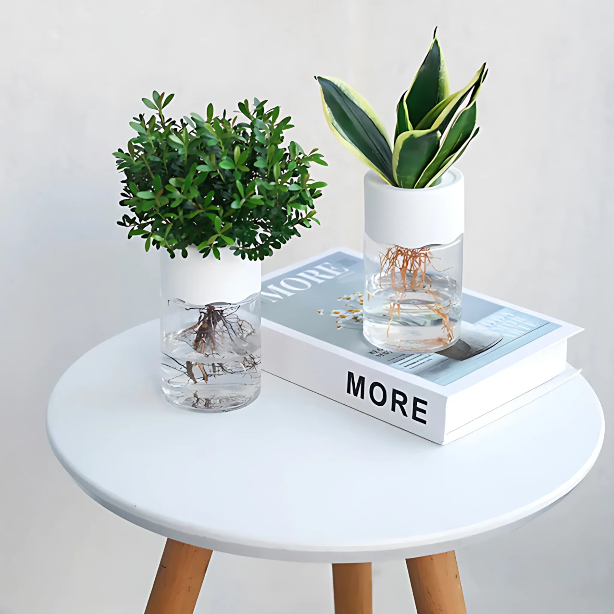 minimalist glass look plant pot