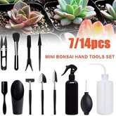 indoor plant care tools