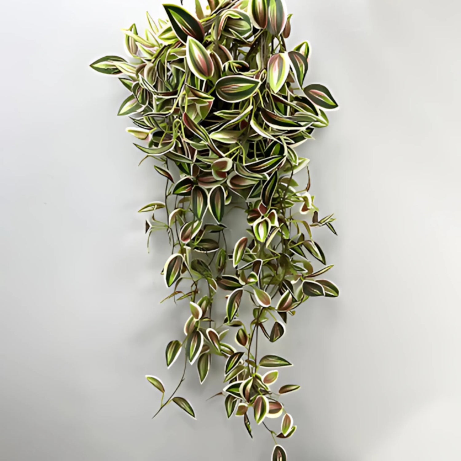 Hanging vines
