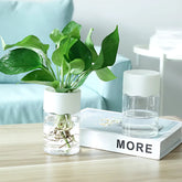 transparent glass look plant pot