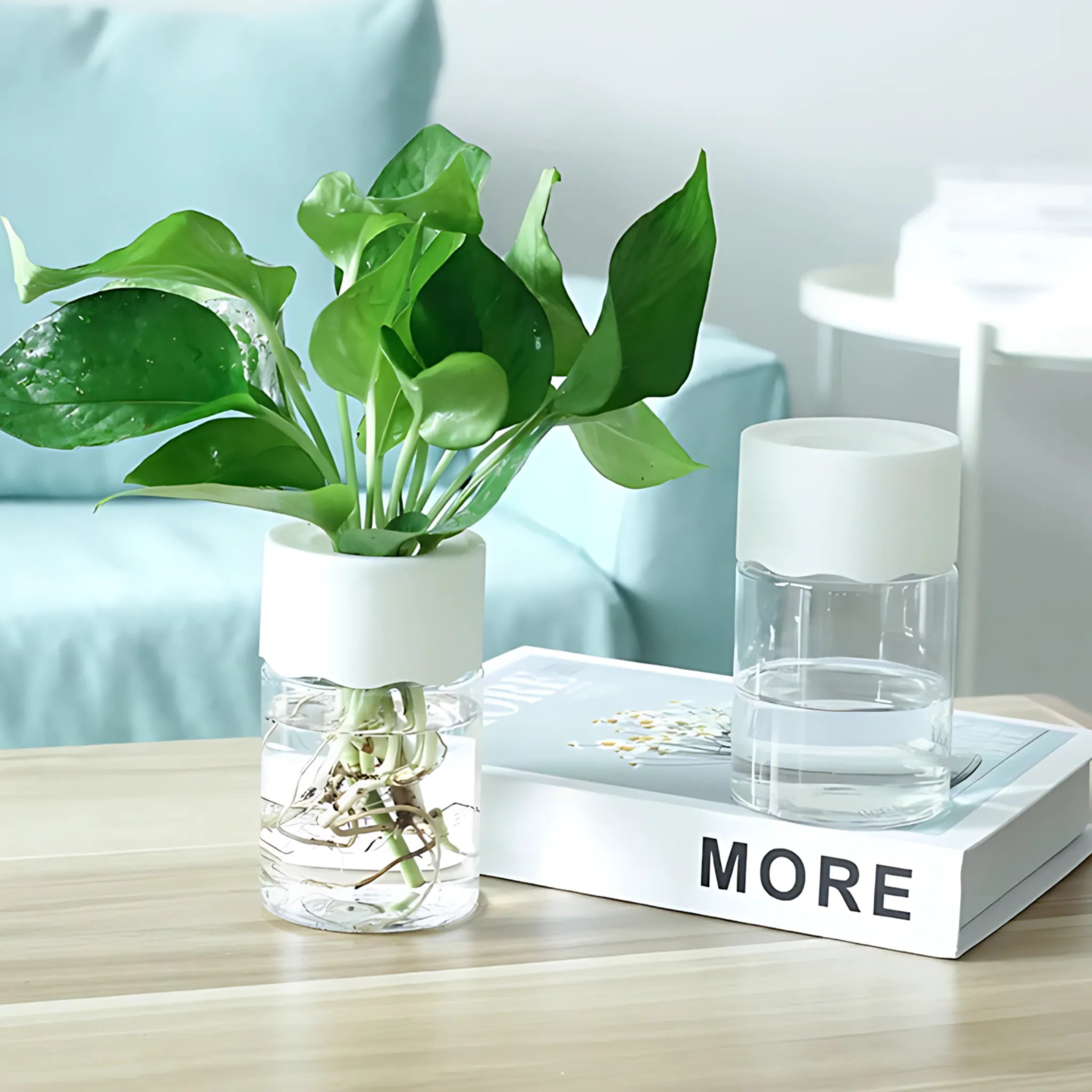 transparent glass look plant pot
