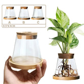Hydroponic plant vase