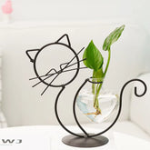 Plant propagation vase NZ