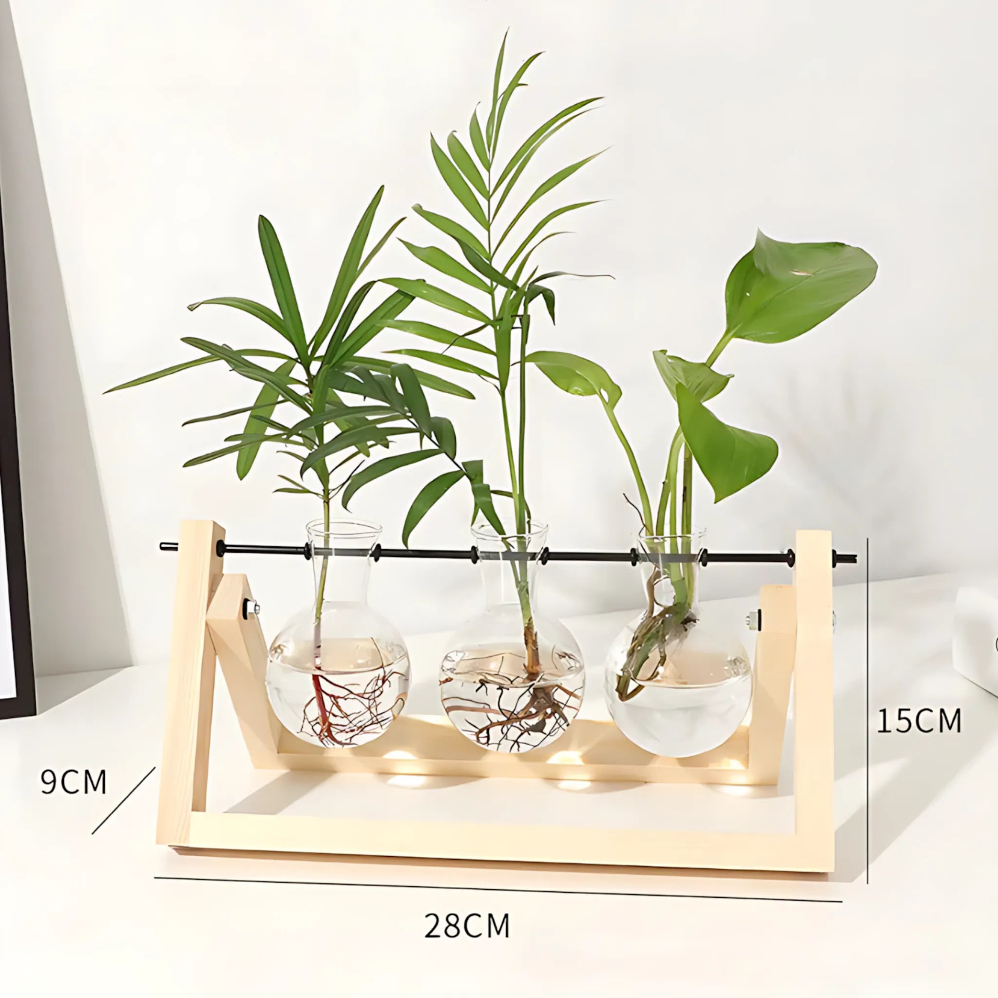 small vase for plant cuttings