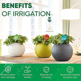 Plant watering globes