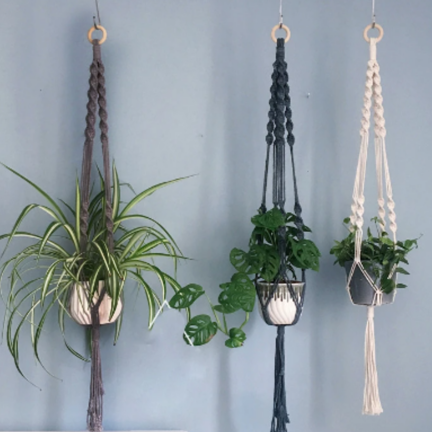 2 tier plant hanger