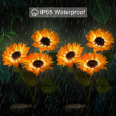 Outdoor solar lights