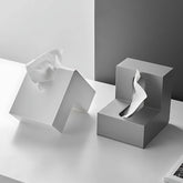 Minimalist tissue box