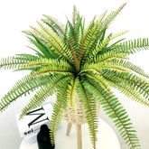 Artificial boston fern