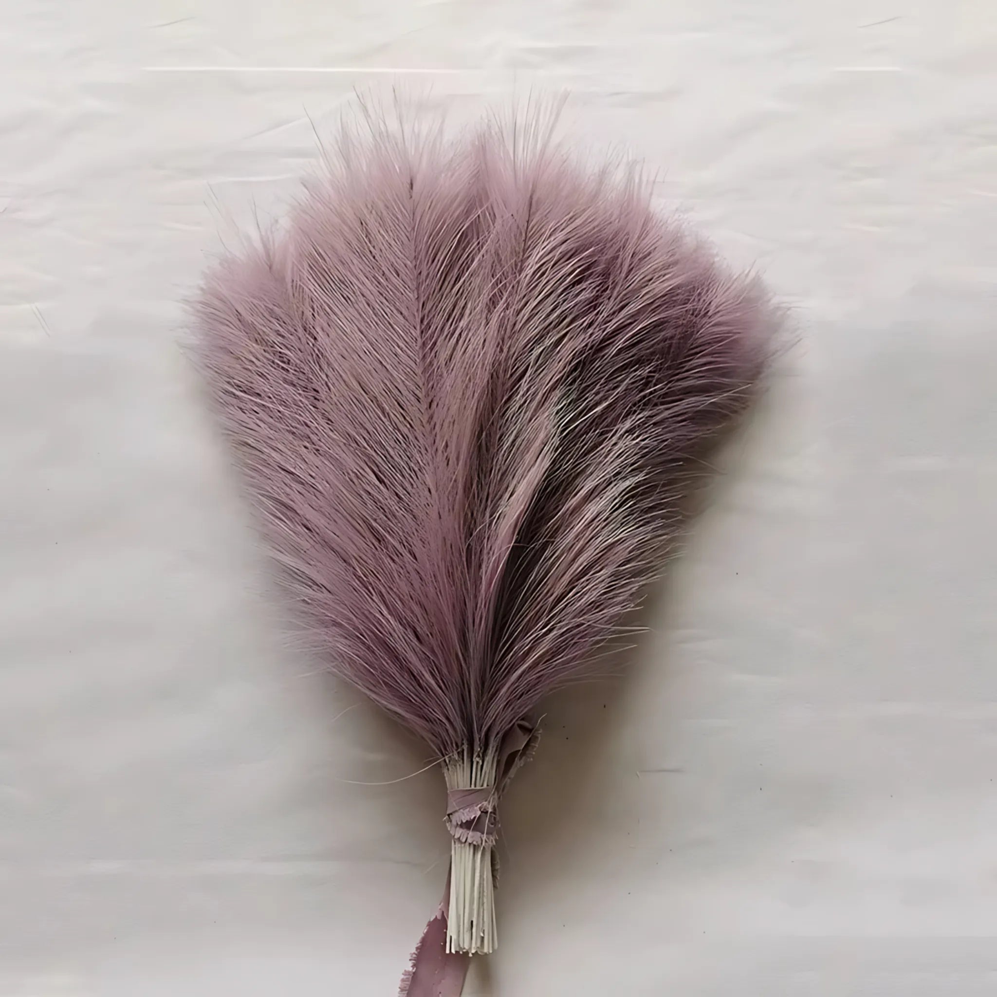 Soft beige pampas grass arrangement
