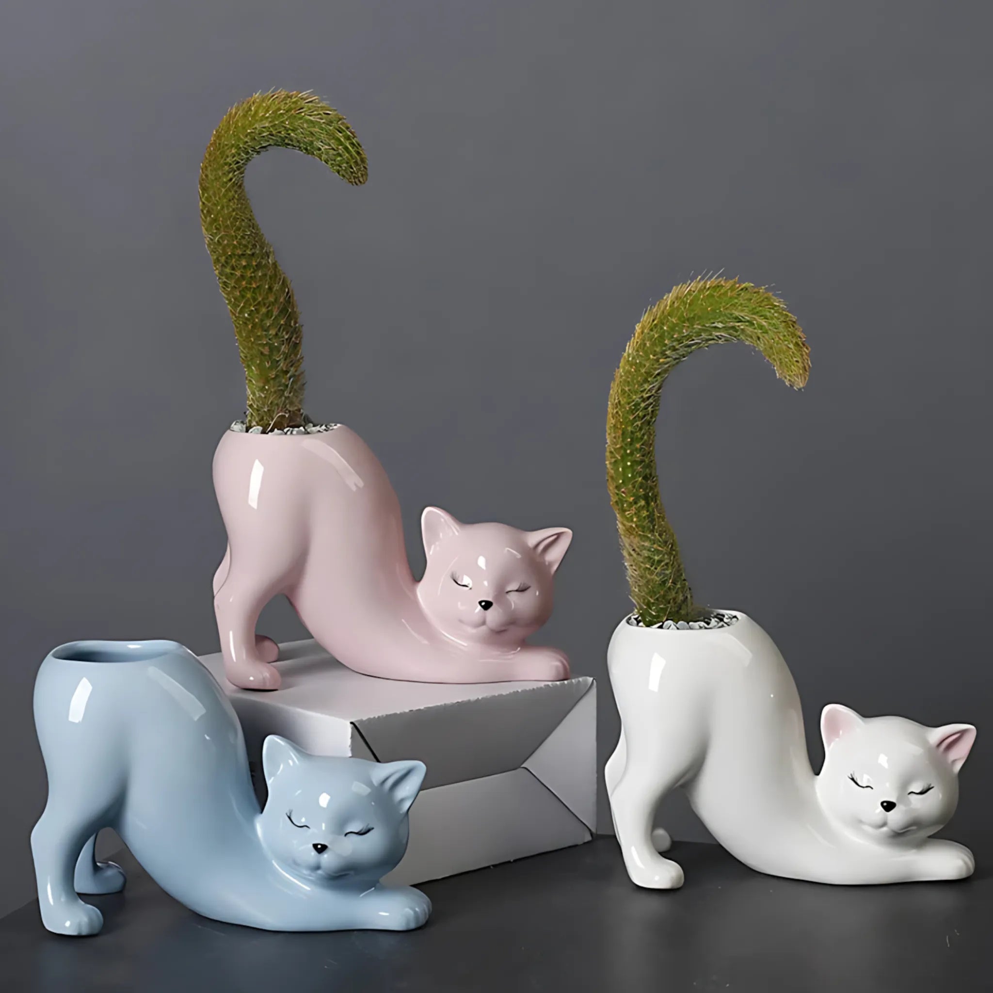 Ceramic Cat Planter