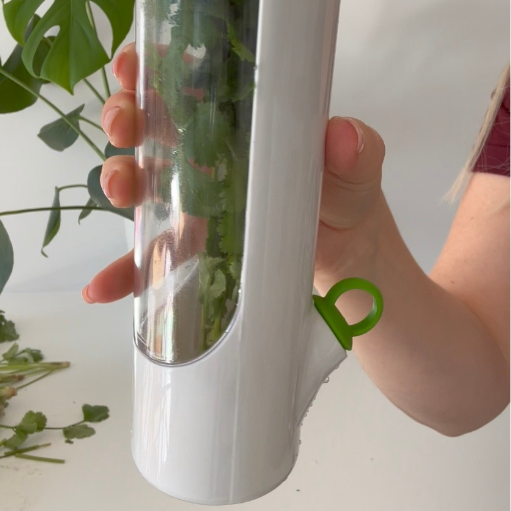 Refrigerator Herb Saver
