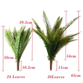 Tropical boston fern