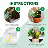 Indoor plant watering system