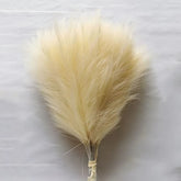 Silk pampas grass for events