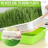 Hydroponic grow tray