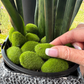 Lush Artificial Moss Stones for Decor and Crafting - 30 or 60 Pces