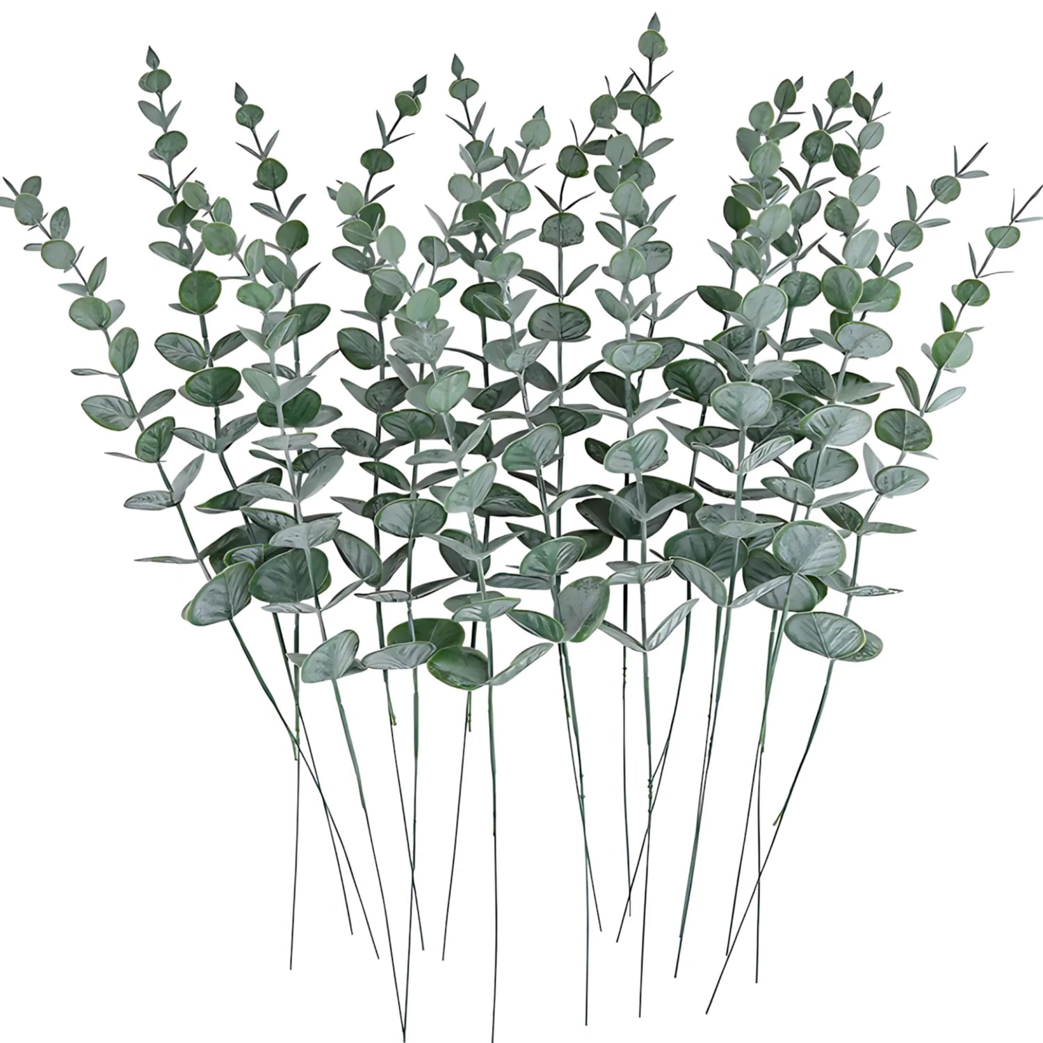 Greenery for floral arrangements