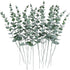 Greenery for floral arrangements