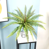 Home Plant Decor