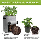 Anti-corrosive grow bags