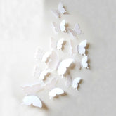 white wall butterfly decals