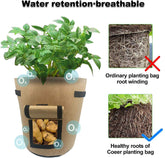 Grow bags for balcony NZ