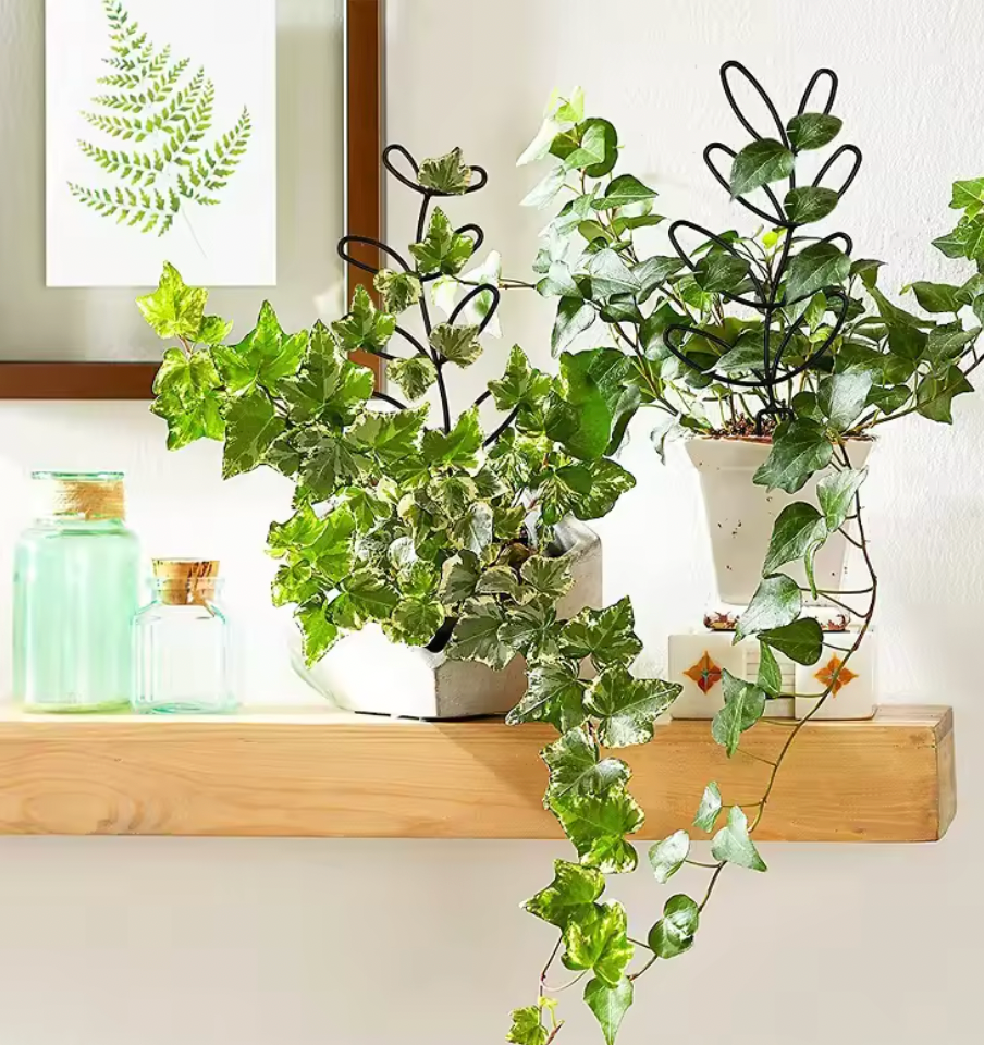 Black Metal Plant Trellis – Minimal Vine Support (Clearance)