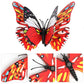 Removable Butterfly Decals