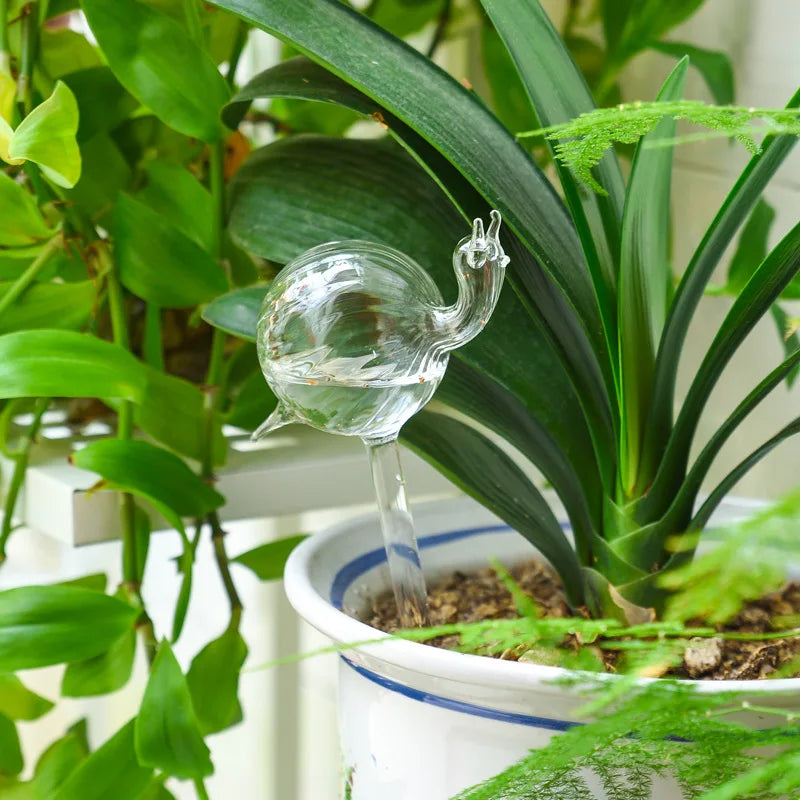 Non-toxic glass plant watering