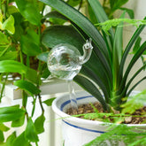 Non-toxic glass plant watering