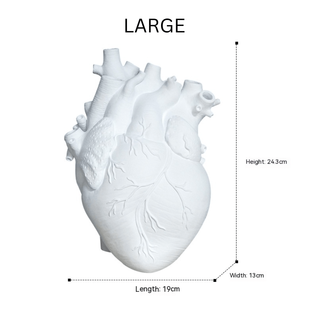 Artistic Anatomical Heart Shape Vase vase
