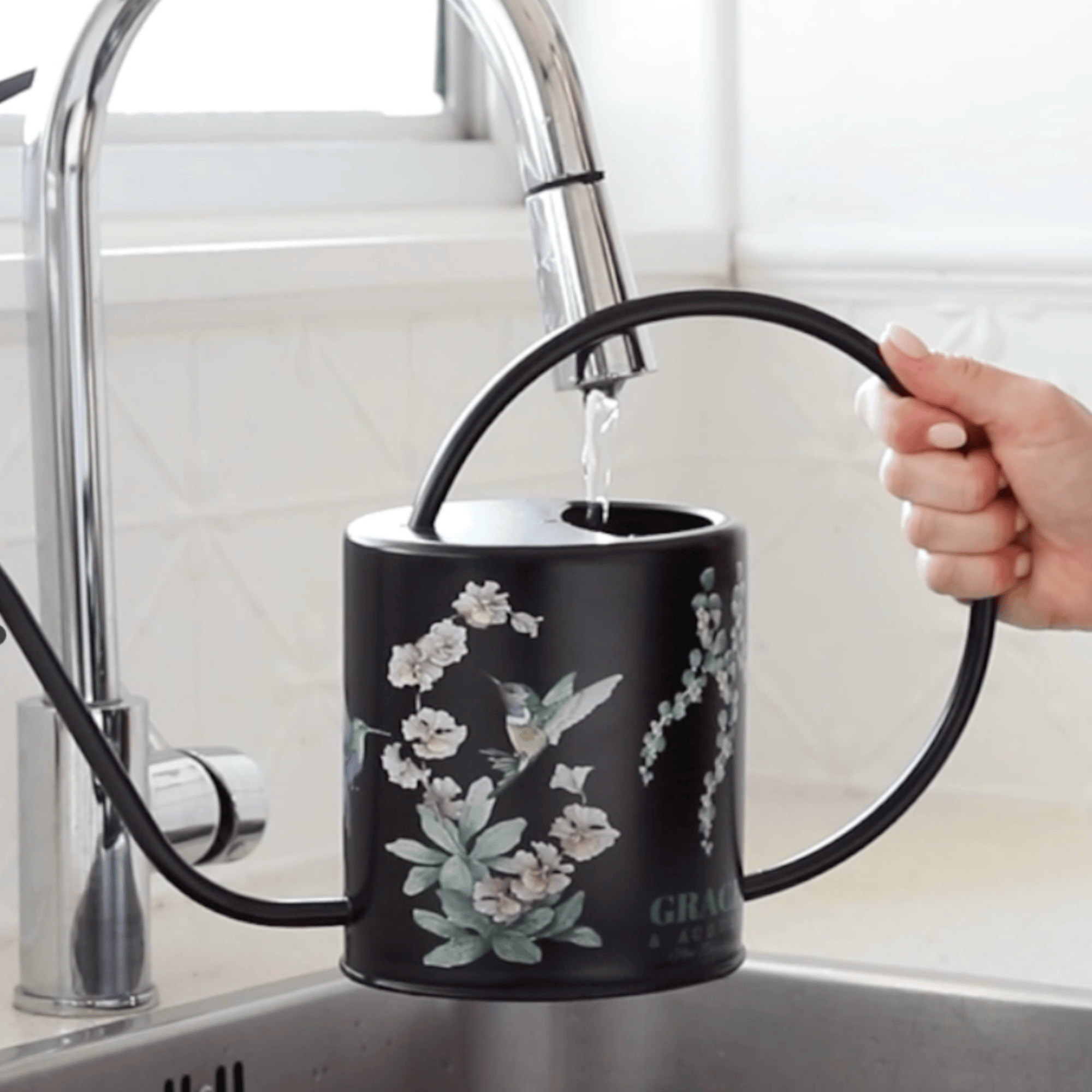 Black Hummingbird Watering Can – 1.5L Stainless Steel Indoor Plant Watering Can - Clearance Item Watering Can
