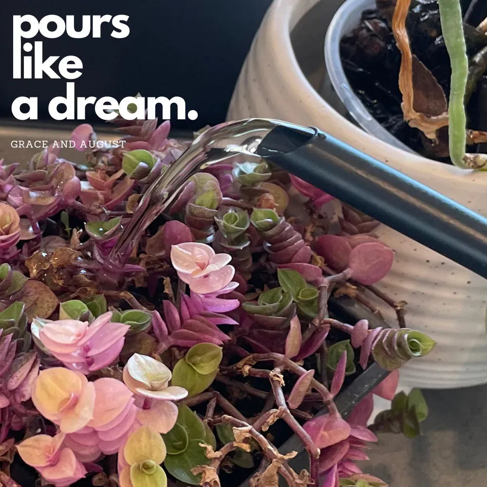 Black Tui Pōhutukawa Watering Can – 1.5L Stainless Steel Indoor Plant Watering Can Watering Can