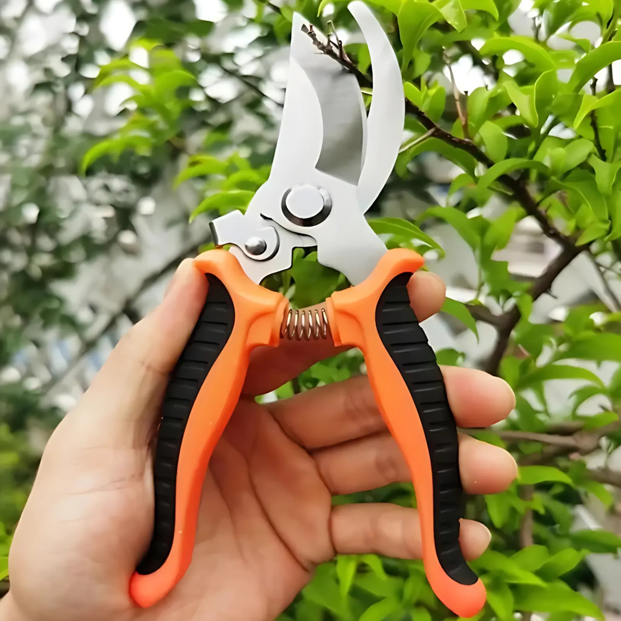 Bypass Pruning Shears - Sharp & Durable Garden Tree Trimmers Pruning Shears