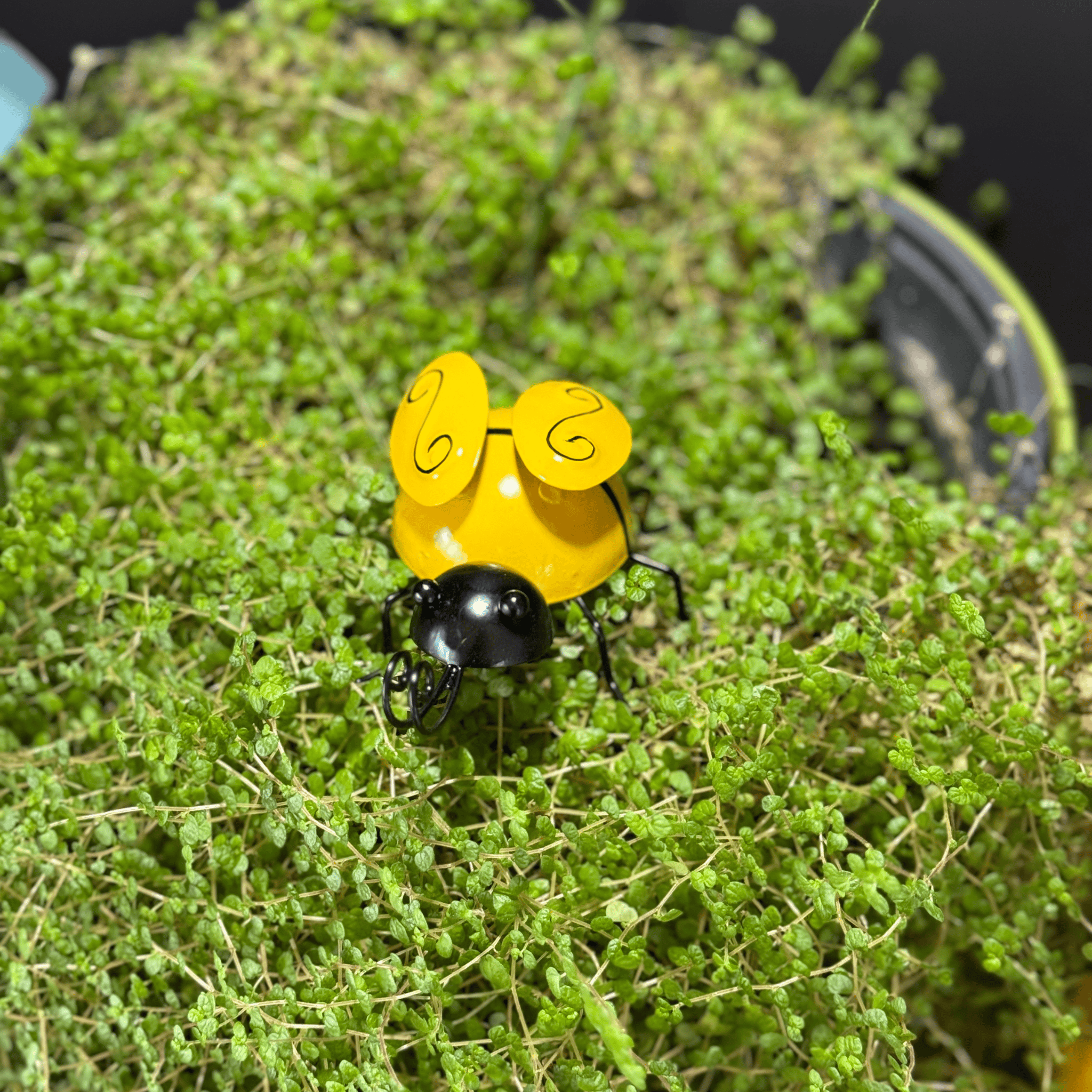 Decorative Metal Bees, Indoor or outdoor Garden Art Bumble Bee Art Set 4 Metal Bumblebee Decor