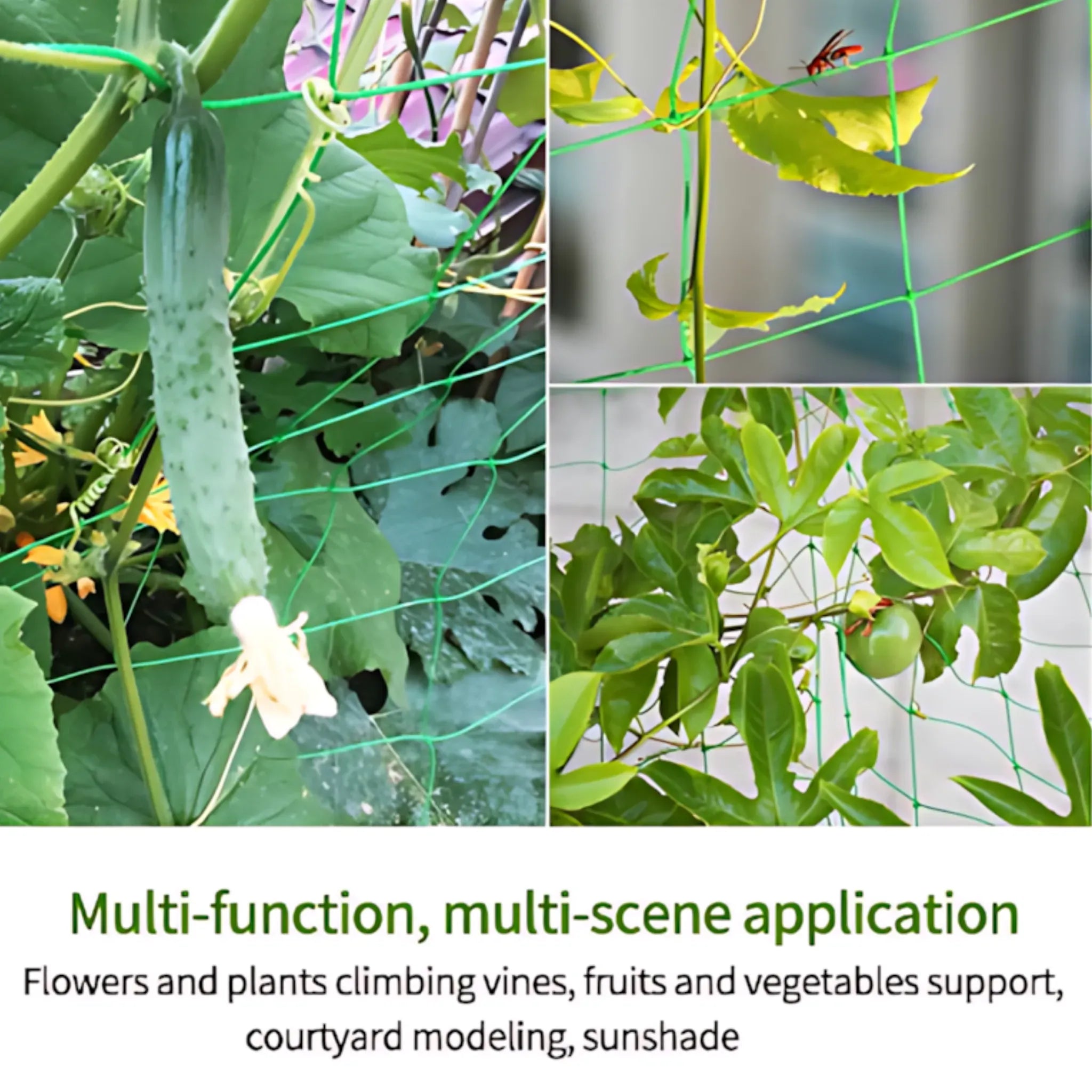 Garden Trellis Netting - Strong Nylon Support for Climbing Plants Plant Support