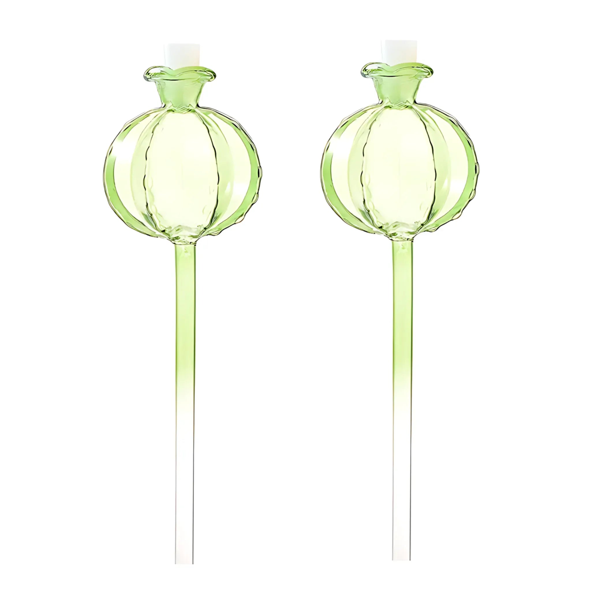 Glass Plant Watering Bulbs - Automatic Drip Irrigation System 2pcs 1 Self Watering Globes