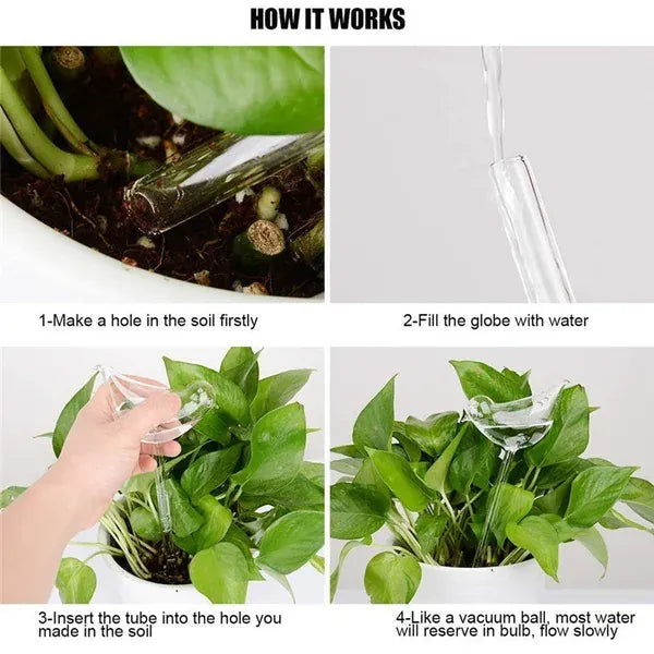 Glass Self-Watering Devices for Stylish Indoor Plants Self Watering Globes
