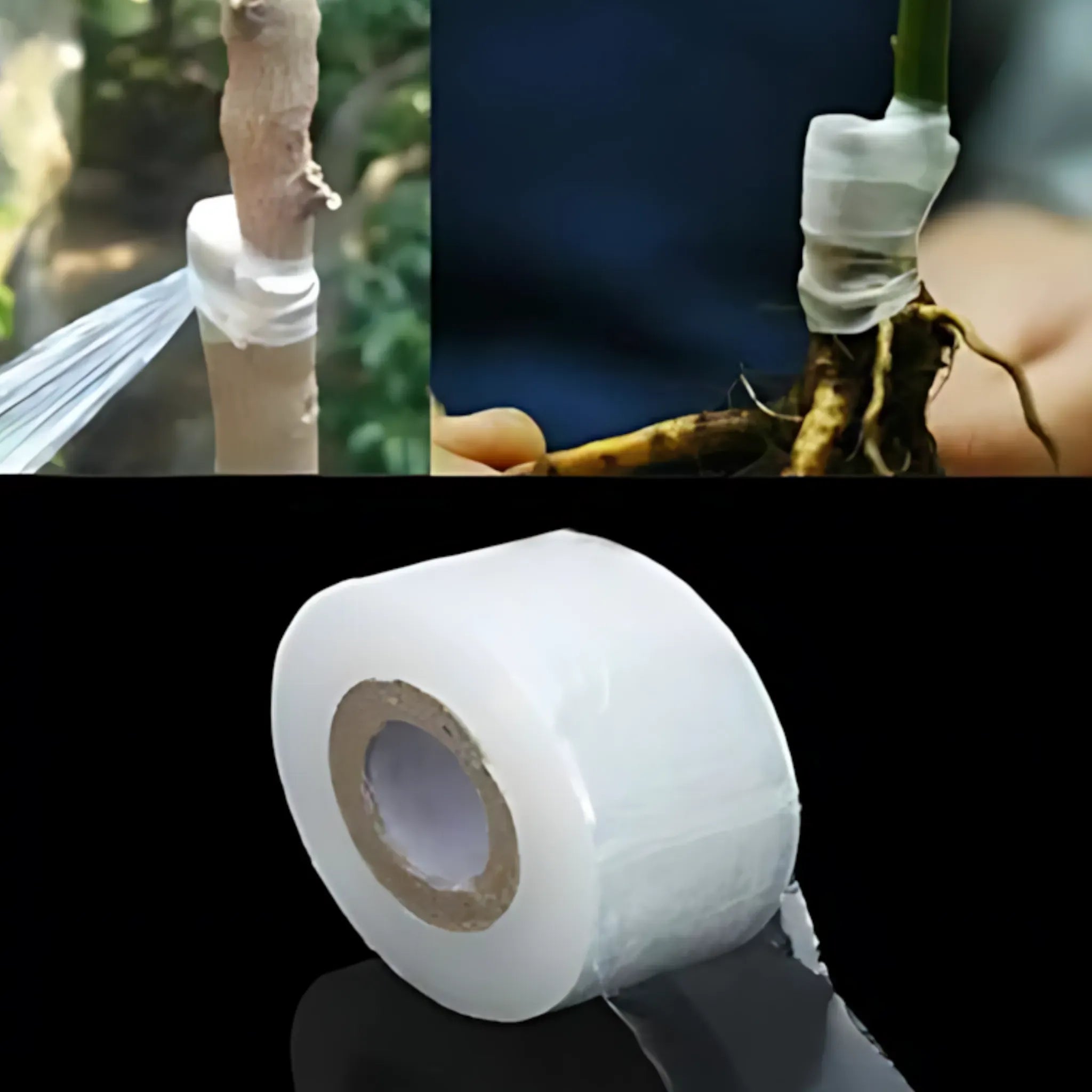 Grafting Tape - Stretchable Self-Adhesive Film for Garden Use Grafting Tape