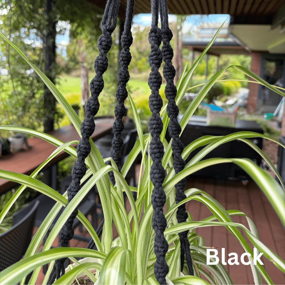 Handmade Macramé Plant Hanger – Limited Stock Plant hangers