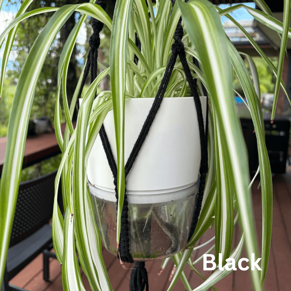 Handmade Macramé Plant Hanger – Limited Stock Plant hangers