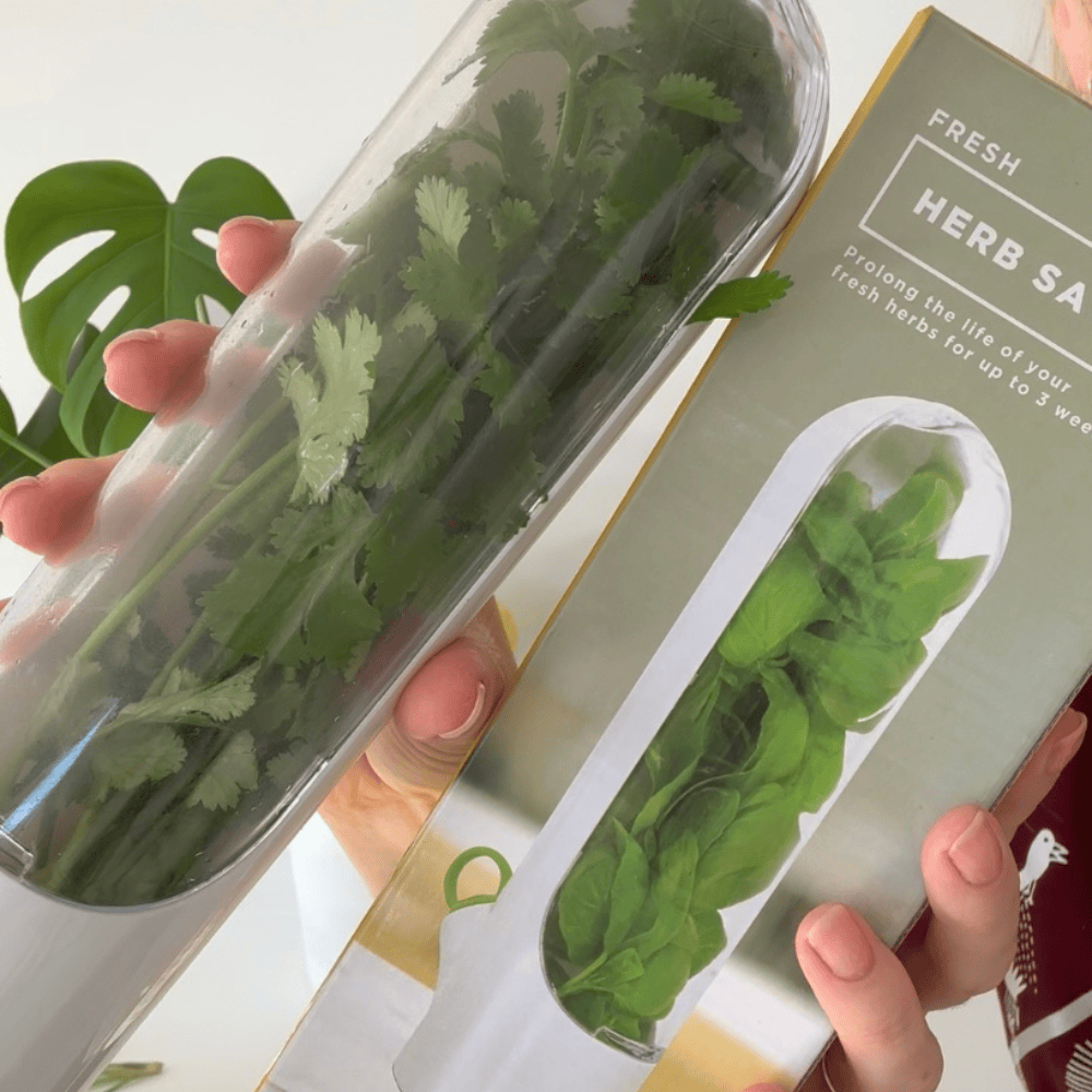 Herb Keeper - Extend Freshness up to 3 weeks, BPA-Free - Clearance Herb Saver