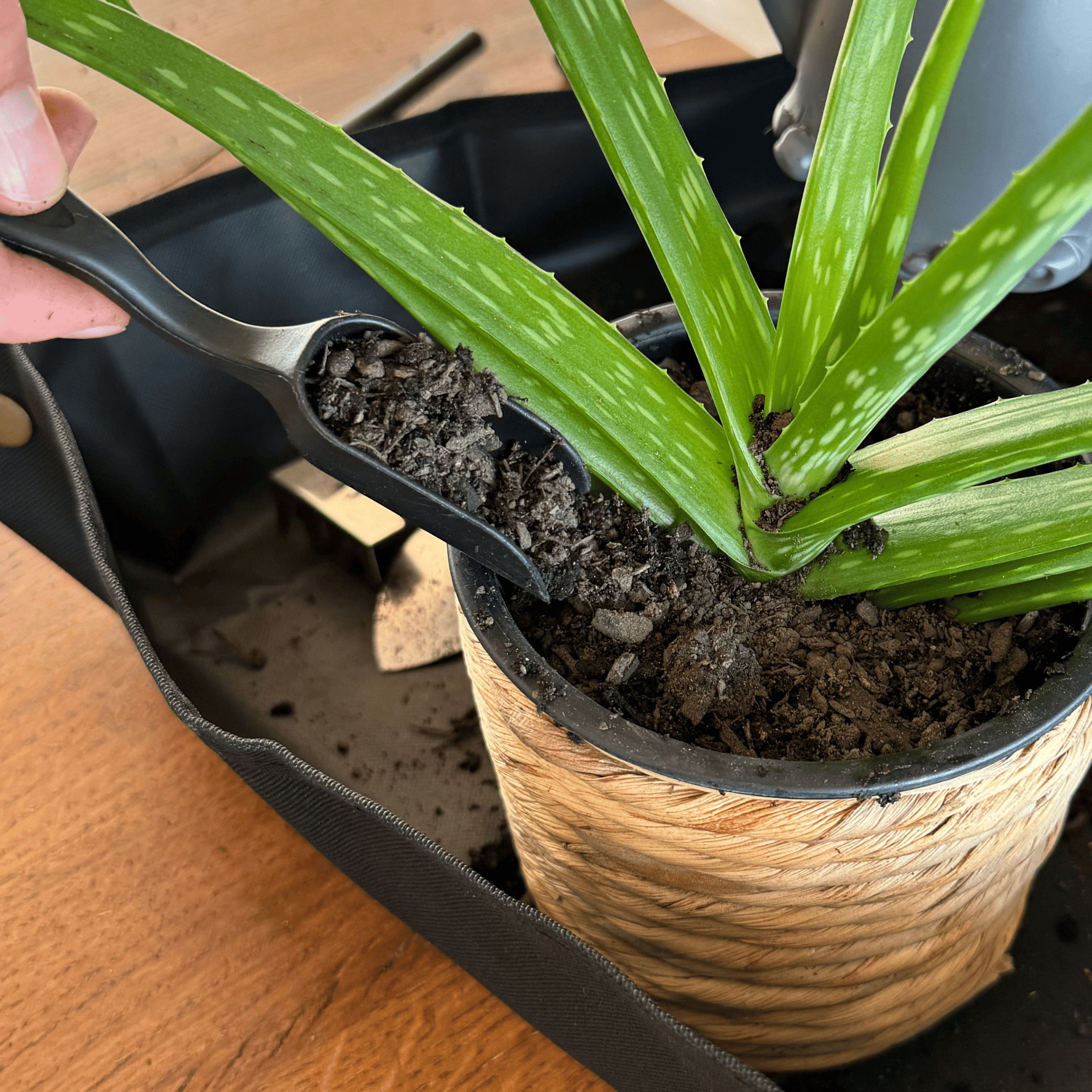 Houseplant Tools for Succulents, Bonsai and Small Houseplants, 8-14 Pieces