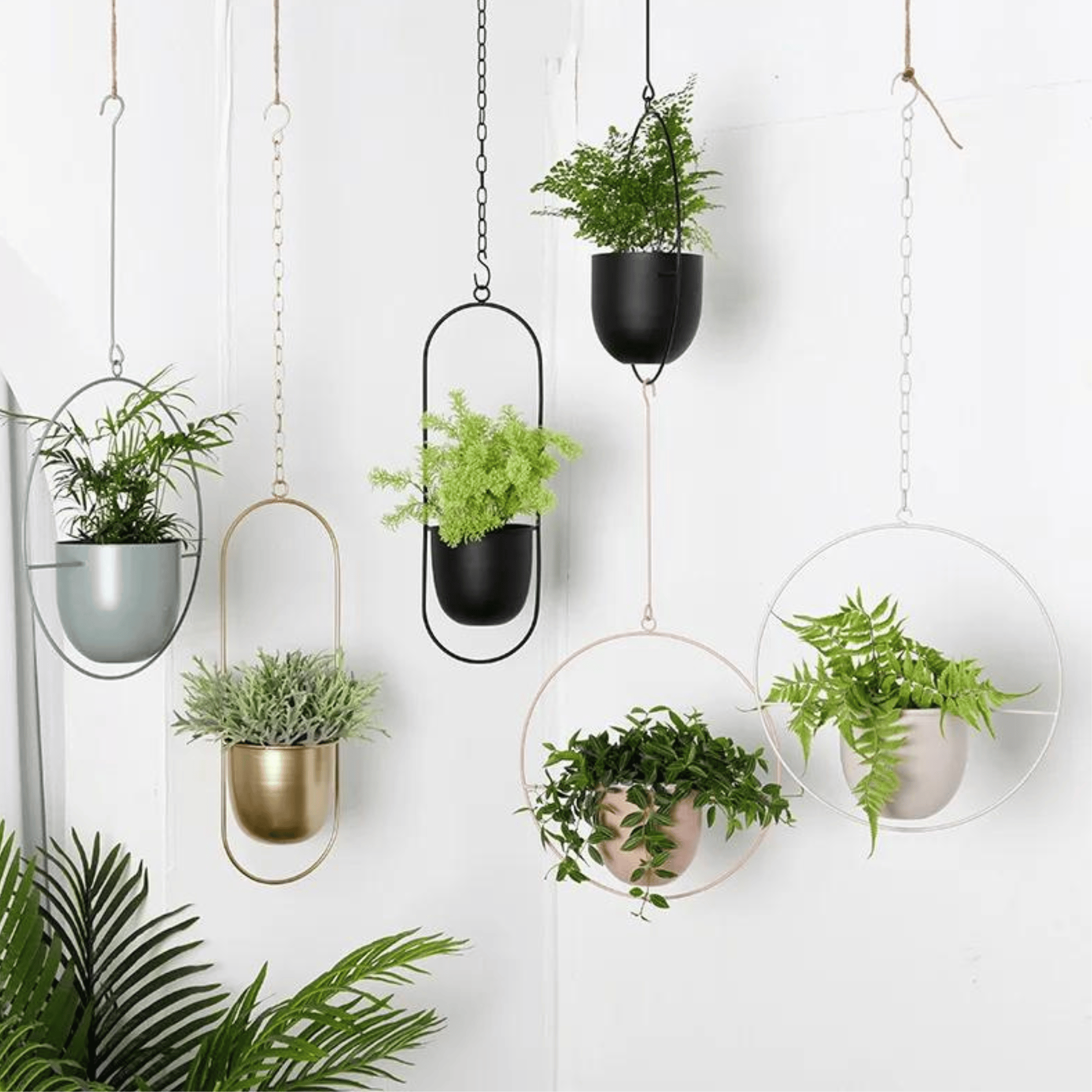 Nordic Style Metal Plant Hanger - Sturdy & Durable Hanging Pots Plant holder
