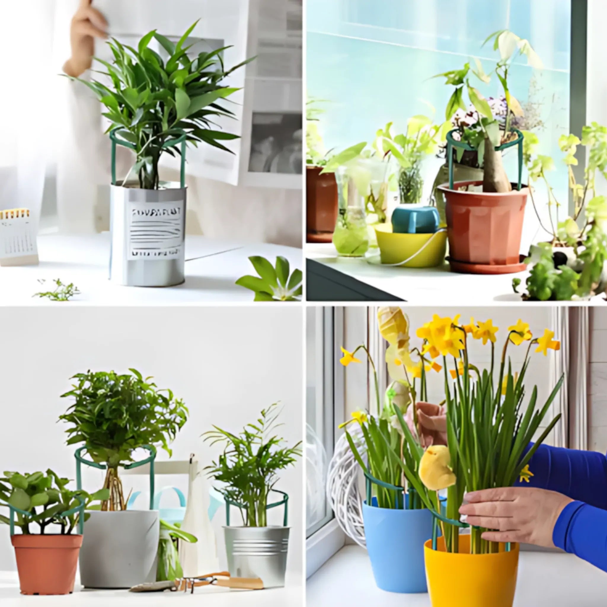 Plant Support Stakes - Durable Plastic Holders for Garden & Greenhouse Plant Support