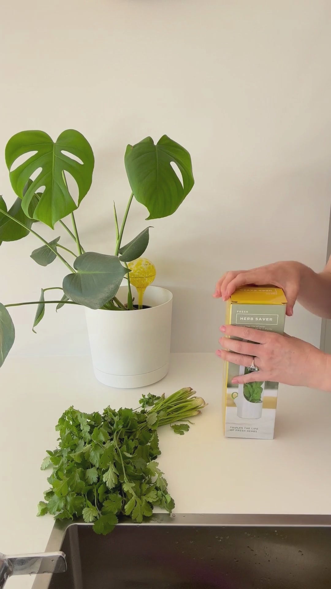 Fresh Herb Storage