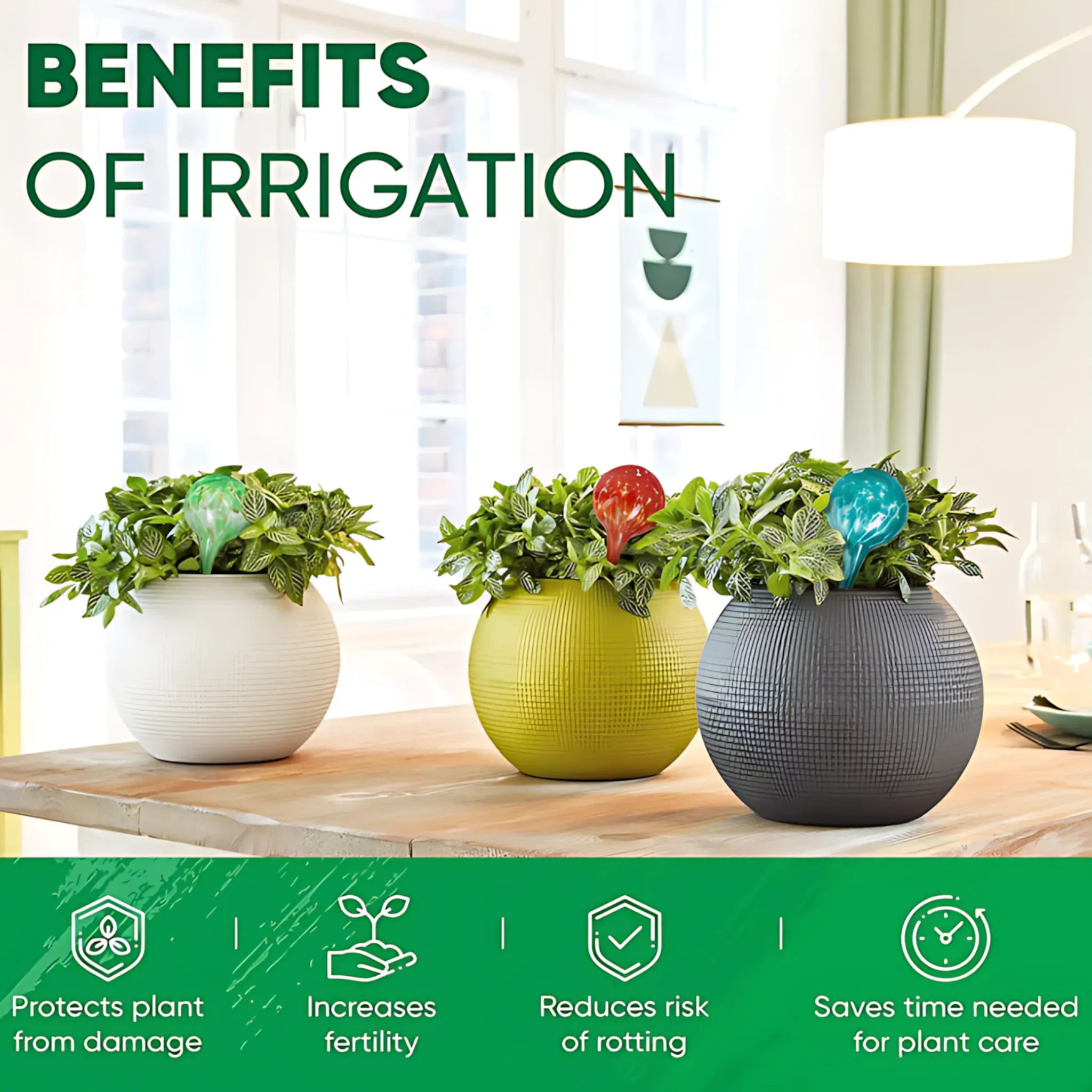Self-Watering Globes - Automatic Plant Watering Set (6 Pcs) Self Watering Globes